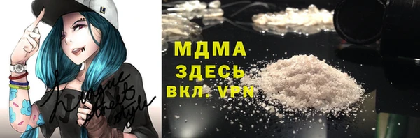индика Лабытнанги