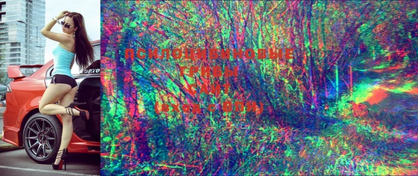 мяу мяу кристалл Ладушкин