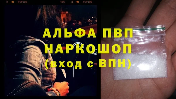 индика Лабытнанги