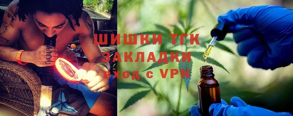 индика Лабытнанги